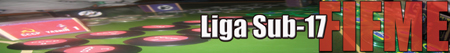 Liga Sub-17